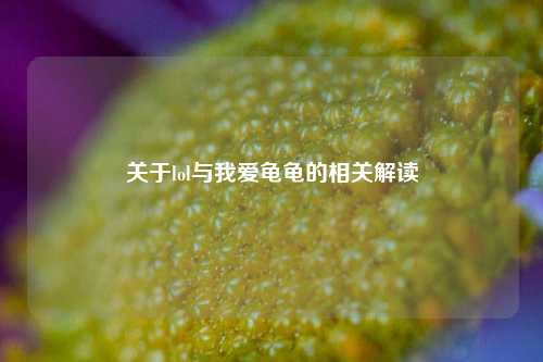 关于lol与我爱龟龟的相关解读