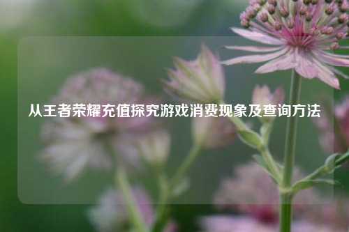 从王者荣耀充值探究游戏消费现象及查询方法