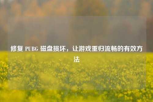 修复 PUBG 磁盘损坏,让游戏重归流畅的有效方法