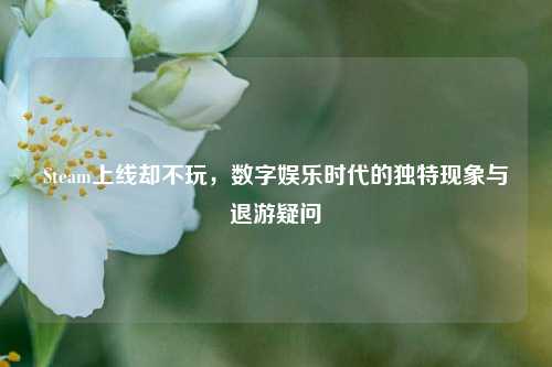 Steam上线却不玩，数字娱乐时代的独特现象与退游疑问
