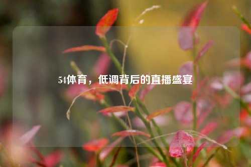 54体育,低调背后的直播盛宴