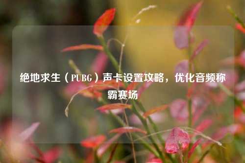 绝地求生(PUBG)声卡设置攻略,优化音频称霸赛场