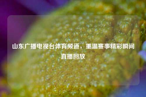 山东广播电视台体育频道，重温赛事精彩瞬间直播回放