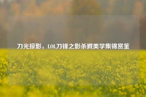 刀光掠影,LOL刀锋之影杀戮美学集锦赏鉴