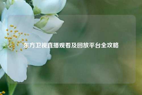 东方卫视直播观看及回放平台全攻略