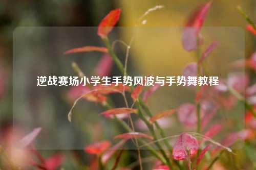 逆战赛场小学生手势风波与手势舞教程