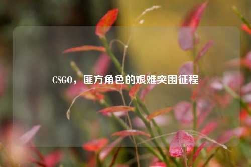 CSGO,匪方角色的艰难突围征程