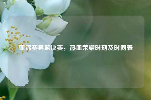 亚锦赛男篮决赛,热血荣耀时刻及时间表