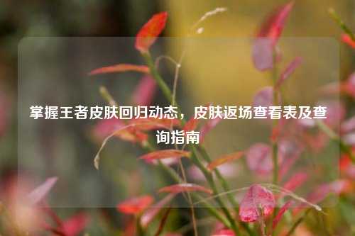 掌握王者皮肤回归动态，皮肤返场查看表及查询指南