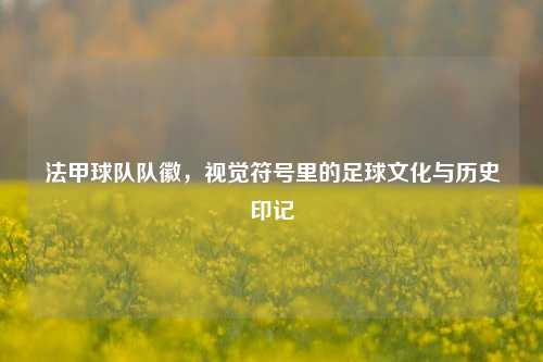 法甲球队队徽,视觉符号里的足球文化与历史印记
