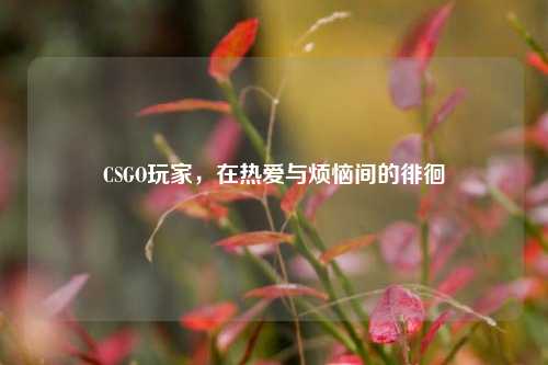 CSGO玩家,在热爱与烦恼间的徘徊