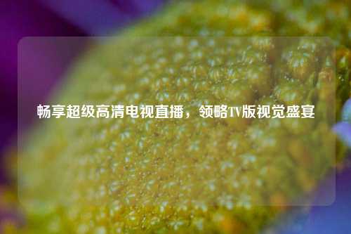 畅享超级高清电视直播,领略TV版视觉盛宴