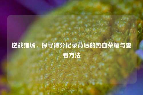 逆战猎场，探寻得分记录背后的热血荣耀与查看方法