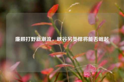 廉颇打野新潮流,峡谷另类悍将能否崛起