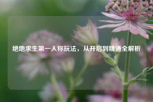绝地求生第一人称玩法，从开启到精通全解析