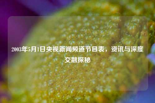 2003年5月1日央视新闻频道节目表，资讯与深度交融探秘
