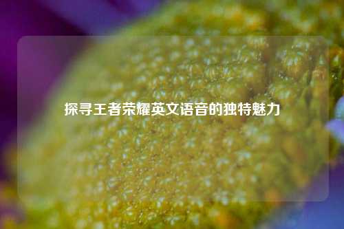 探寻王者荣耀英文语音的独特魅力