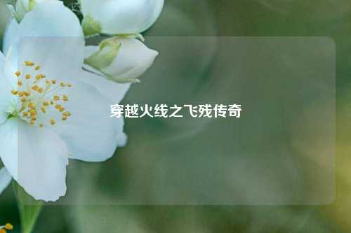 穿越火线之飞残传奇