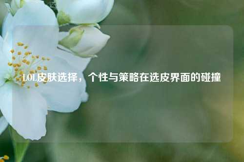 LOL皮肤选择，个性与策略在选皮界面的碰撞