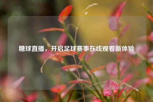 糖球直播，开启足球赛事在线观看新体验