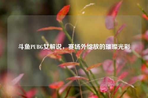 斗鱼PUBG女解说,赛场外绽放的璀璨光彩