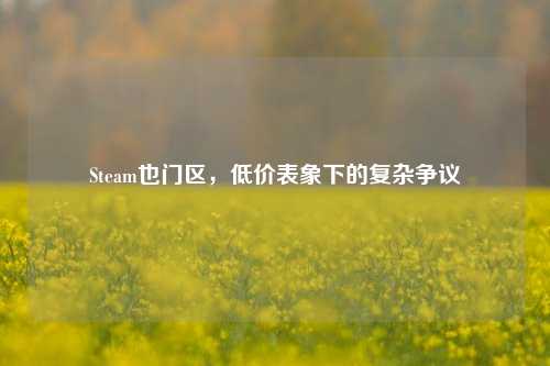 Steam也门区，低价表象下的复杂争议