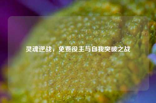 灵魂逆战，免费役主与自我突破之战