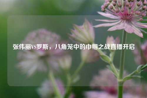 张伟丽VS罗斯,八角笼中的巾帼之战直播开启