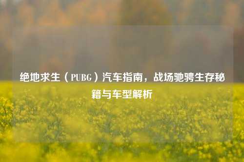 绝地求生(PUBG)汽车指南,战场驰骋生存秘籍与车型解析