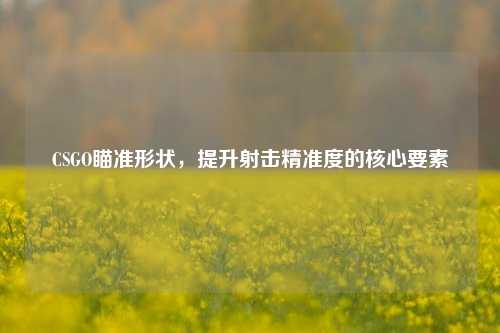 CSGO瞄准形状，提升射击精准度的核心要素