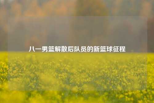 八一男篮解散后队员的新篮球征程
