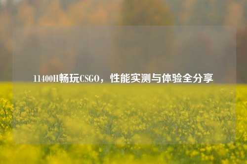 11400H畅玩CSGO，性能实测与体验全分享