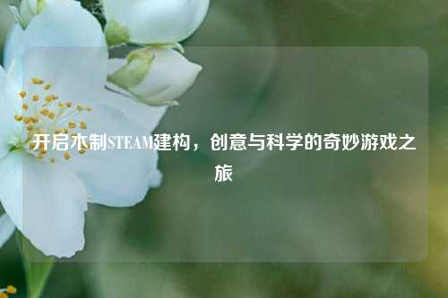 开启木制STEAM建构，创意与科学的奇妙游戏之旅