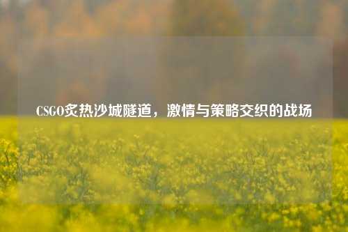 CSGO炙热沙城隧道，激情与策略交织的战场