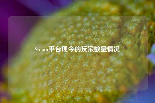 Steam平台现今的玩家数量情况
