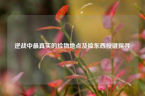 逆战中最真实的捡物地点及捡东西按键探寻