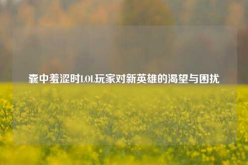 囊中羞涩时LOL玩家对新英雄的渴望与困扰