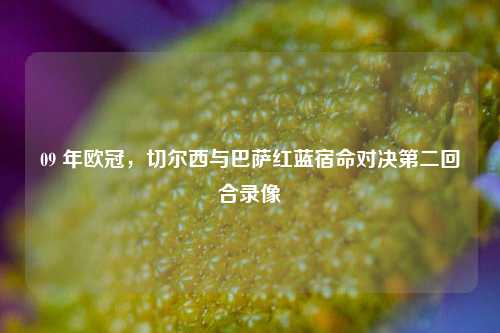 09 年欧冠，切尔西与巴萨红蓝宿命对决第二回合录像