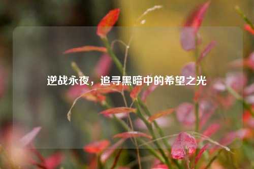 逆战永夜，追寻黑暗中的希望之光