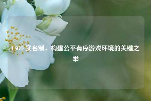 CSGO 实名制，构建公平有序游戏环境的关键之举