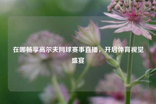在哪畅享高尔夫网球赛事直播,开启体育视觉盛宴