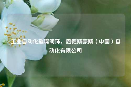工业自动化璀璨明珠，恩德斯豪斯（中国）自动化有限公司