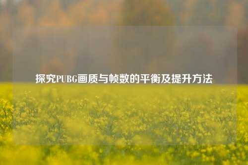 探究PUBG画质与帧数的平衡及提升方法