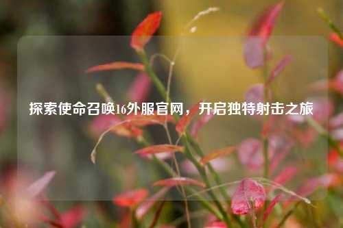 探索使命召唤16外服官网，开启独特射击之旅