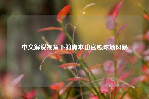 中文解说视角下的奥本山宫殿球场风暴
