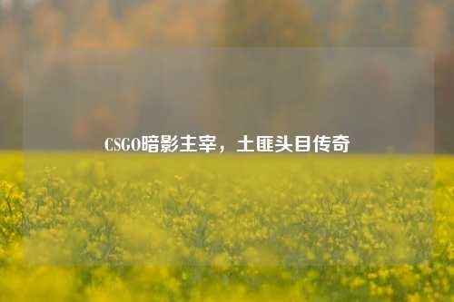 CSGO暗影主宰，土匪头目传奇