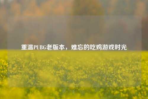 重温PUBG老版本，难忘的吃鸡游戏时光