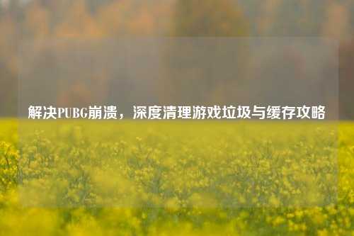 解决PUBG崩溃，深度清理游戏垃圾与缓存攻略