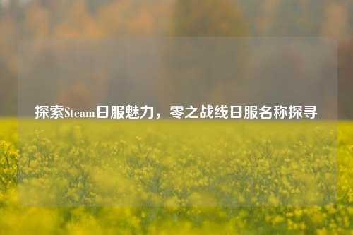 探索Steam日服魅力，零之战线日服名称探寻