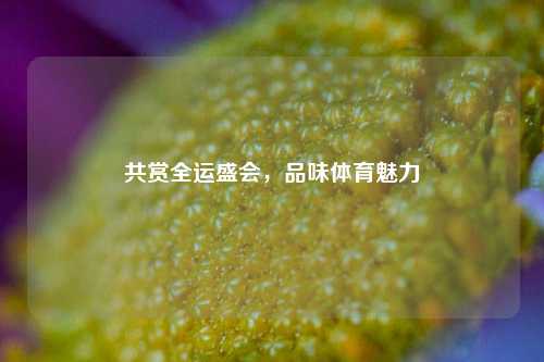 共赏全运盛会，品味体育魅力